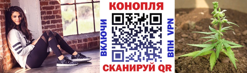 Виды наркотиков купить Зарайск СК  Метадон  COCAIN  Мефедрон  Гашиш  Конопля 