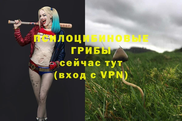 марихуана Вязьма
