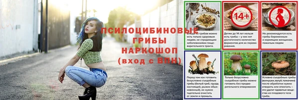 мяу мяу мука Волоколамск
